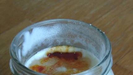Bild von AprikosenSahneDessert_0.jpg