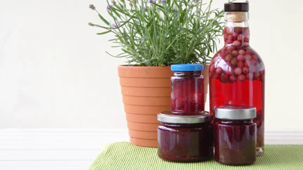 Mehrere Gläser mit dunkelroter Felsenbirnenmarmelade stehen auf- und nebeneinander.