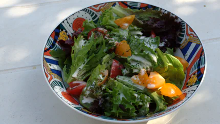 Eine Schale mit grünem Salat und Tomaten. Darüber fließt eine weiße Salatsoße mit Kräutern.