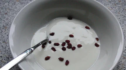 Eine Schale Joghurt mit getrockneten Beeren und einem langen Teelöffel.