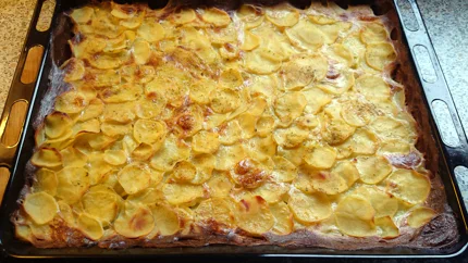 Ein Blech mit Kartoffelgratin mit gelben Kartoffeln und dunkelbraunen Stellen.