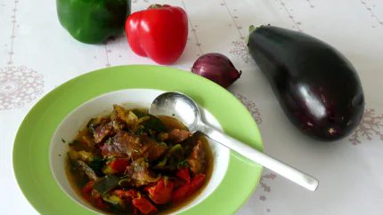 Ein Teller mit einem gemüsigen Lammgulasch. Herum liegen eine Aubergine, Zwiebel und Paprika.