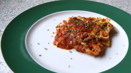 Eine Portion Lasagne, bestreut mit gerebeltem Oregano, liegt auf einem Teller.