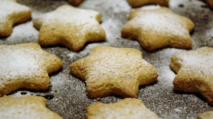 Viele, kleine Lebkuchen liegen in Reihen auf einem Backblech. Sie sind mit Puderzucker bestreut.