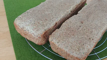 Zwei Laiber hellbraunes Brot aus einer Kastenform auf einem Rost.