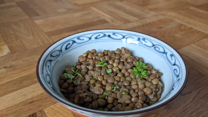 Ein Schälchen mit Linsensalat aus braunen Berglinsen. Er ist mit Petersilie garniert.