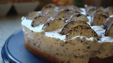 Eine Torte mit fluffiger Masse aus Sahne, in der die Waffeln der Mohrenköpfe stecken.