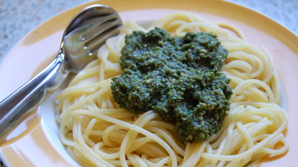 Satt grünes Pesto aus Basilikum mit Pinienkernstücken auf einer Portion Spaghetti.