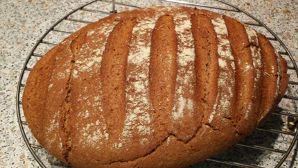 Ein schöner, gleichmäßig ovaler und dunkelbrauner Laib Brot mit Streifenmuster, weil es vor dem Backen schräg eingeschnitten wurde.