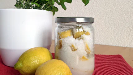 Einige, in Viertel geschnittene Zitronen wurden in ein Glas mit Salz eingelegt. Es ist bereits etwas Zitronensaft ausgetreten. Davor liegen zwei ganze Zitronen und dahinter steht ein Topf Basilikum.