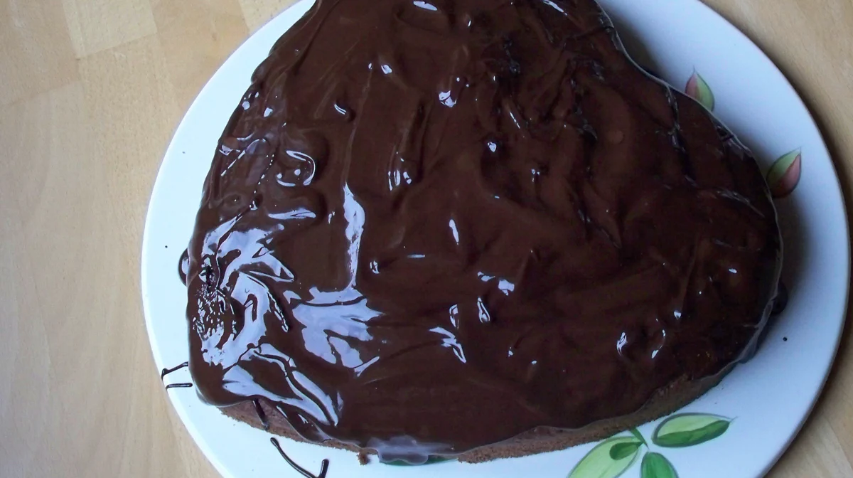 Schoko-Nuss-Kuchen