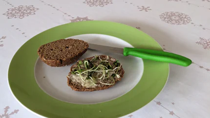 Ein halbiertes, dunkelbraunes Brötchen, dessen eine Hälfte mit Butter beschmiert und mit Sprossen bedeckt ist.