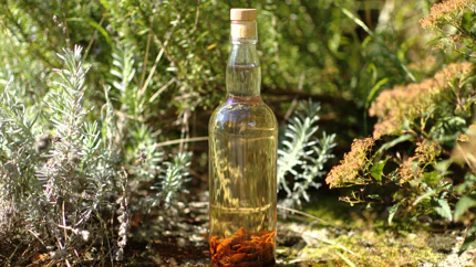 Eine Flasche mit zartbraunem Likör, in dem noch Zwetschgenkerne schwimmen, steht auf einem Stein im Garten zwischen den Kräutern.