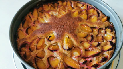 Ein goldbraun gebackener Kuchen mit ziegelförmig angeordneter Zwetschgen.
